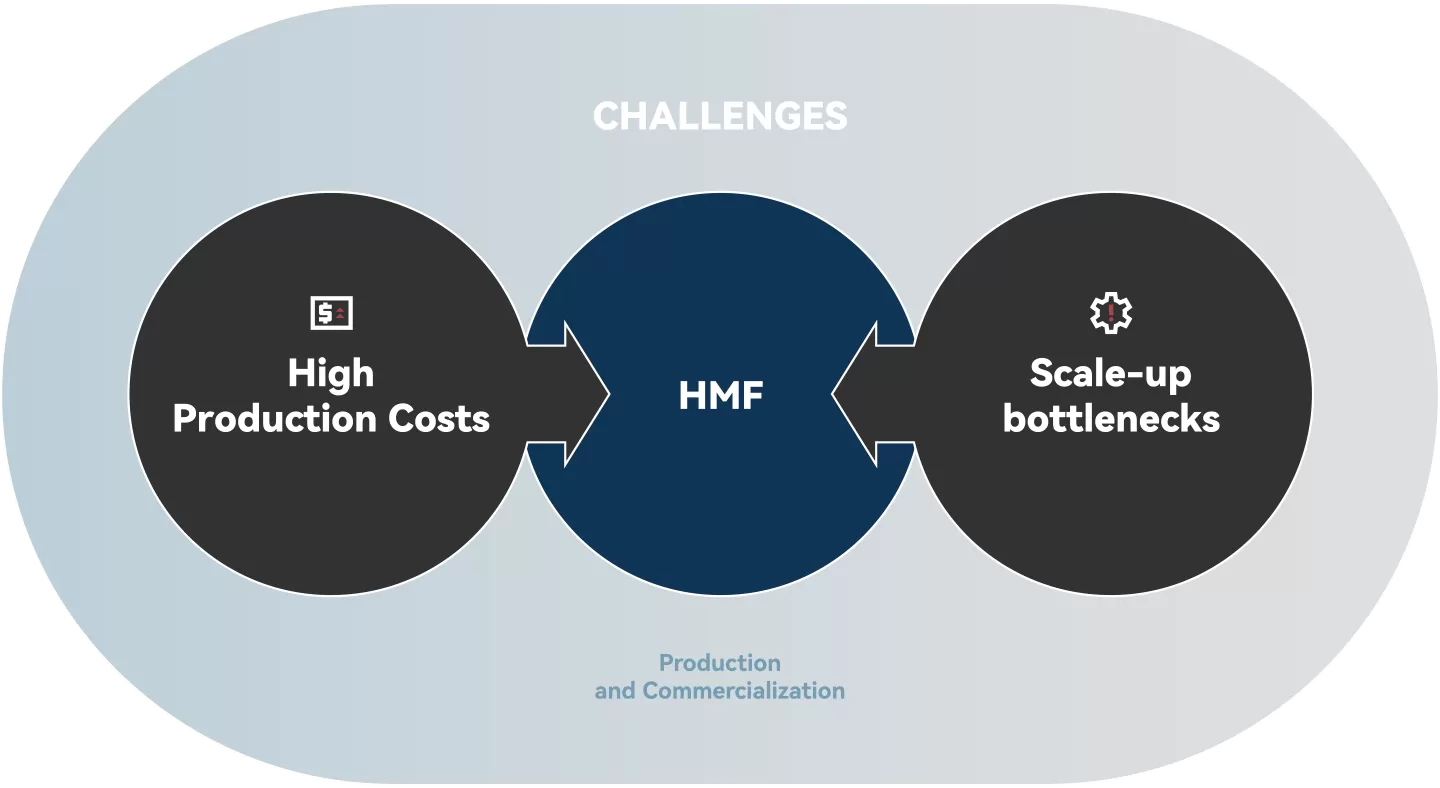 克服HMF生产和商业化中的挑战