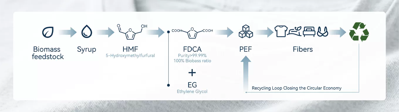 从生物质到纺织-一个可持续的循环
