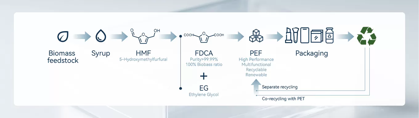 从生物质到包装: 循环的未来