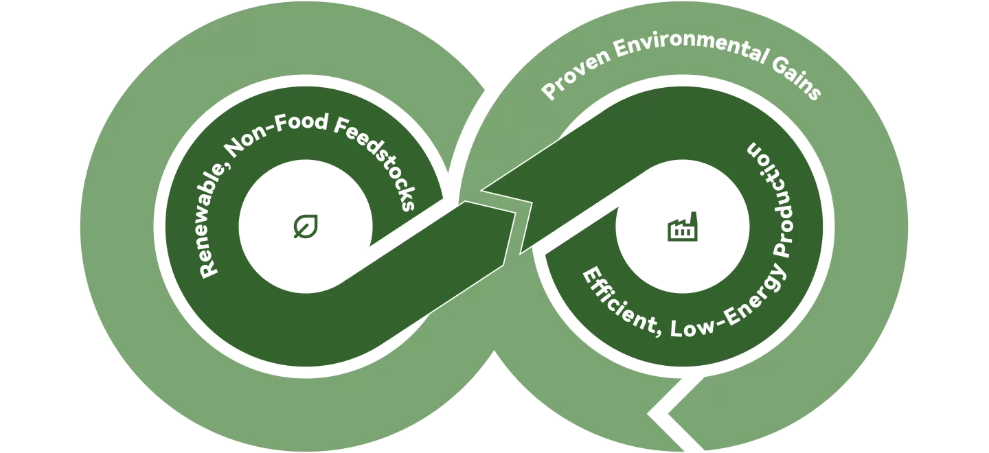 HMF: 绿色未来的可持续选择